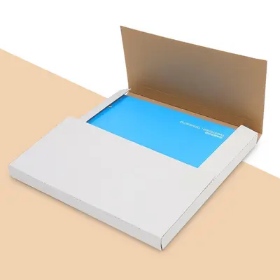 7 Inch Vinyl Mailers presented alongside its printed surface detail