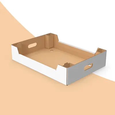 Bakery Cardboard Trays photographed from a second angle showing the side panel