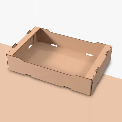 Bakery Cardboard Trays presented alongside its printed surface detail