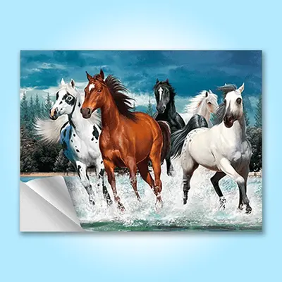 Custom Lenticular Stickers photographed to show the finish across the panel