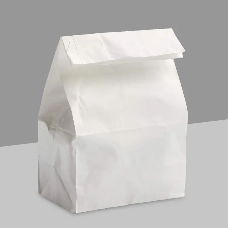 Custom Paper Lunch Bags produced as custom bags