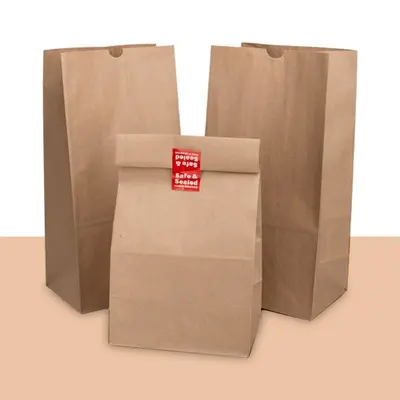Kraft Paper Bags presented alongside its printed surface detail