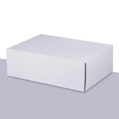 Literature Mailers presented alongside its printed surface detail