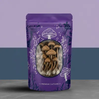 Mushroom Mylar Bags shown at an angle that reveals the depth of the pack