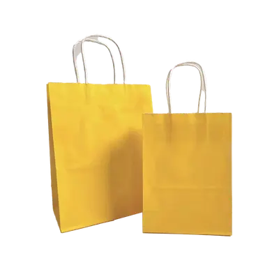 Paper Bags with Handles photographed from a second angle showing the side panel