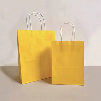 Paper Bags with Handles displayed with the closure detail visible