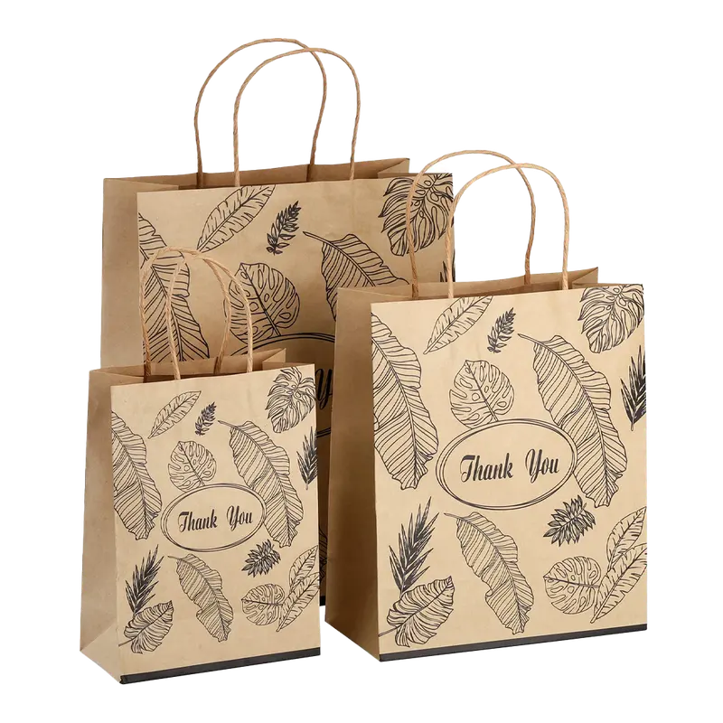 Paper Bags with Handles photographed to show finish and proportion