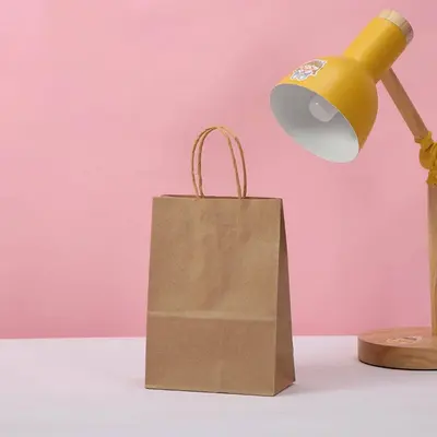 Paper Bags with Handles shown in a retail presentation setting