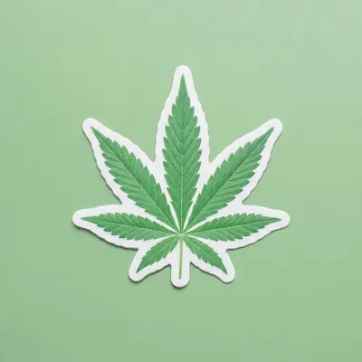 Pot Leaf Stickers presented alongside its printed surface detail