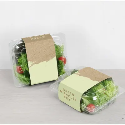 Salad Boxes photographed from a second angle showing the side panel