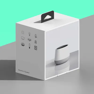 Speaker Boxes shown as a finished custom-printed pack