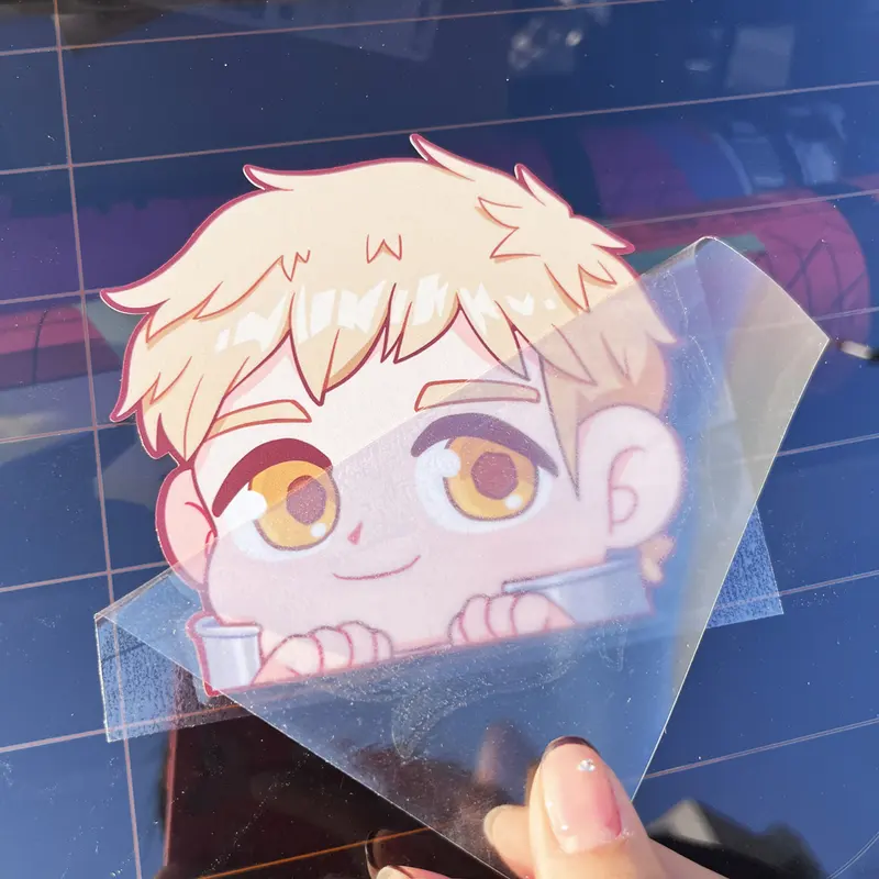 Transfer Stickers produced as custom stickers
